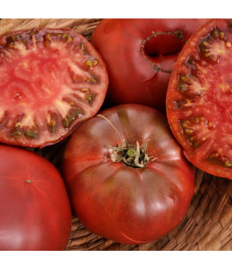 Tomate Noire de Crimée - crédit photo Kokopelli