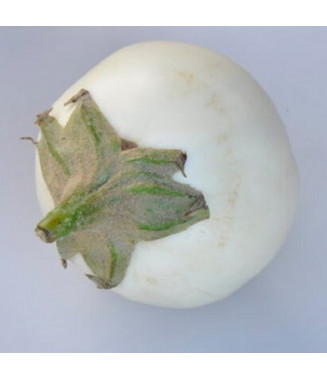 Aubergine blanche œuf - crédit photo Kokopelli