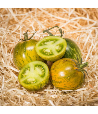 Tomate Green Zebra - crédit photo Kokopelli
