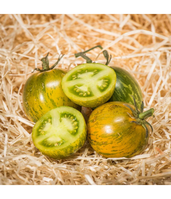 Tomate Green Zebra - crédit photo Kokopelli