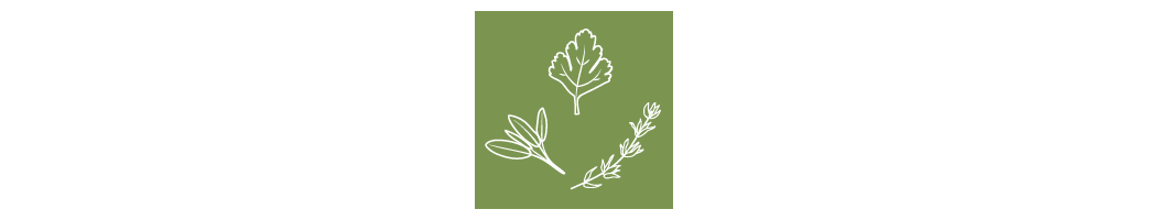 Plants aromatiques
