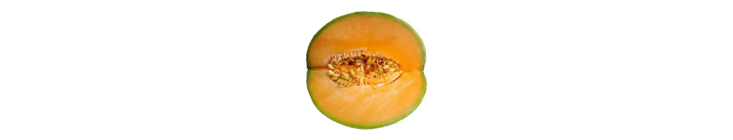 Melons, Pastèques