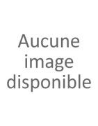 Mélisse